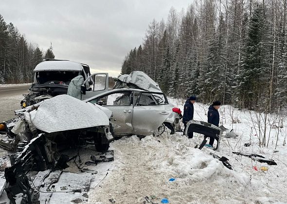 ГАИ сообщила о предварительных обстоятельствах жуткого ДТП под Волчанском